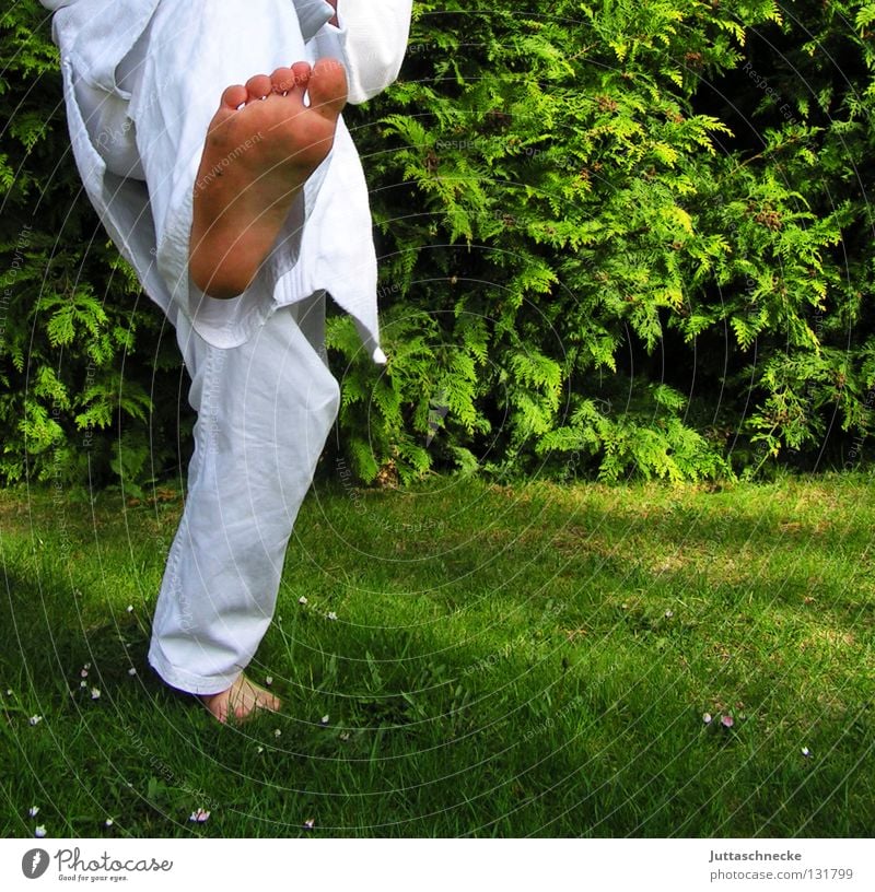 In balance Karate Judo Martial arts White Green Practice Kick Jump Combat dress Footstep Tread Japan Samurai Contentment Beat Fighter Karateka Adversary