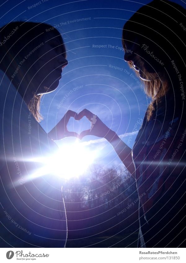 Friendship. Sun Exterior shot Sunbeam Fingers Hand Together Love Heart Happy Joy Youth (Young adults) Shadow Blue Sky Contrast