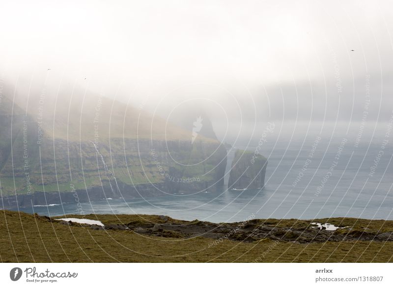 Landscape on the Faroe Islands Beautiful Ocean Clouds Weather Grass Meadow Rock River Føroyar Stone Green Emotions intense Dramatic mood positive stunning water