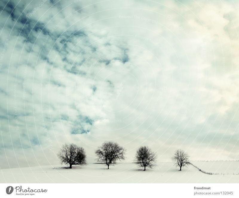four of a kind Switzerland Hill Tree Leafless Cold Clouds Minimal 4 Fence Swing Background picture Winter Clean Tidy up Calm Relaxation White Loneliness