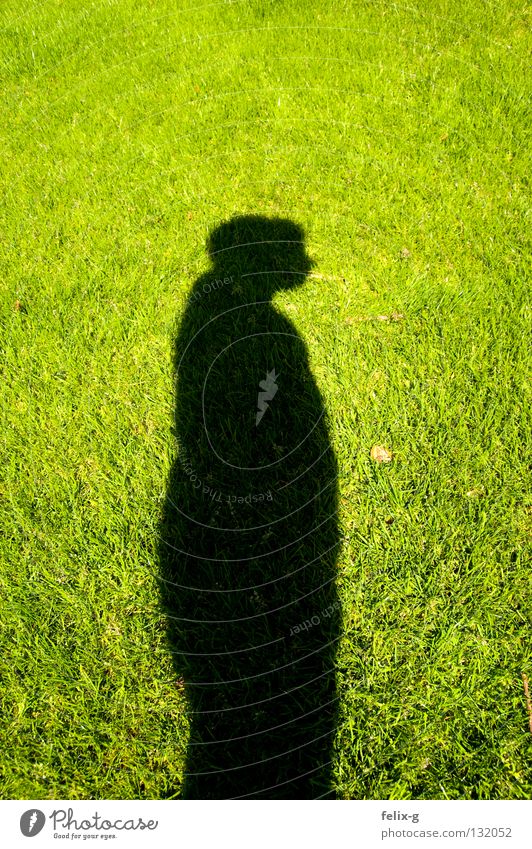 Lawn man #3 Grass Hand Drop shadow Light Green Bright green Shadow Human being Legs Sun Contrast