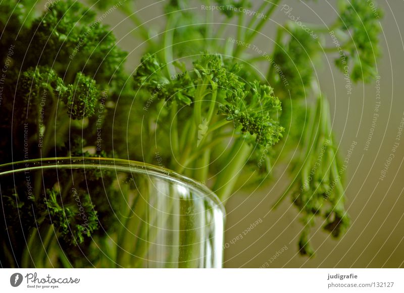 parsley Herbs and spices Kitchen Vase Fresh Food Green Colour pertersily kitchen herb Bouquet Glass Water Nutrition Aromatic