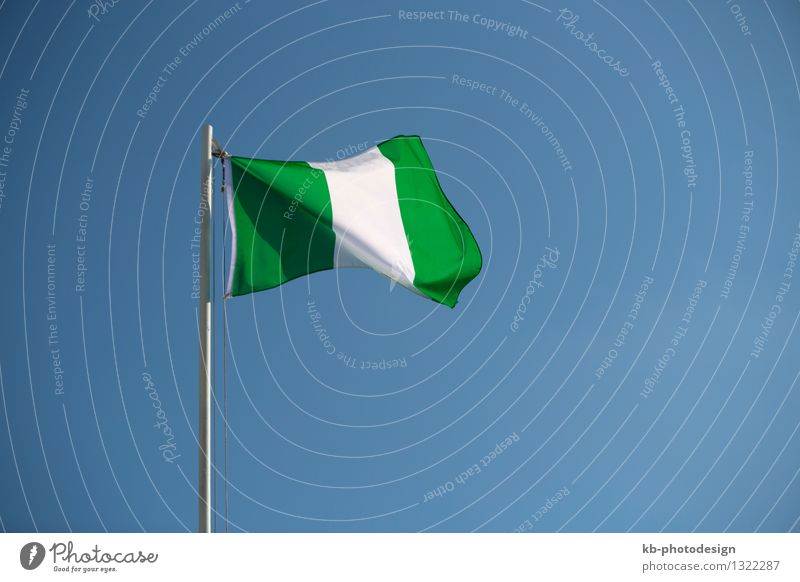 Nigerian flag in front of blue sky in the wind Vacation & Travel Tourism Far-off places Business Wind Flag nation Africa news Nationalities and ethnicity