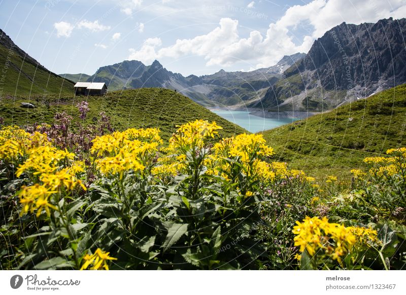 Homeland IV Vacation & Travel Tourism Mountain Hiking Nature Landscape Water Sky Clouds Summer Grass Bushes Wild plant Mountain meadow Flower meadow Lake