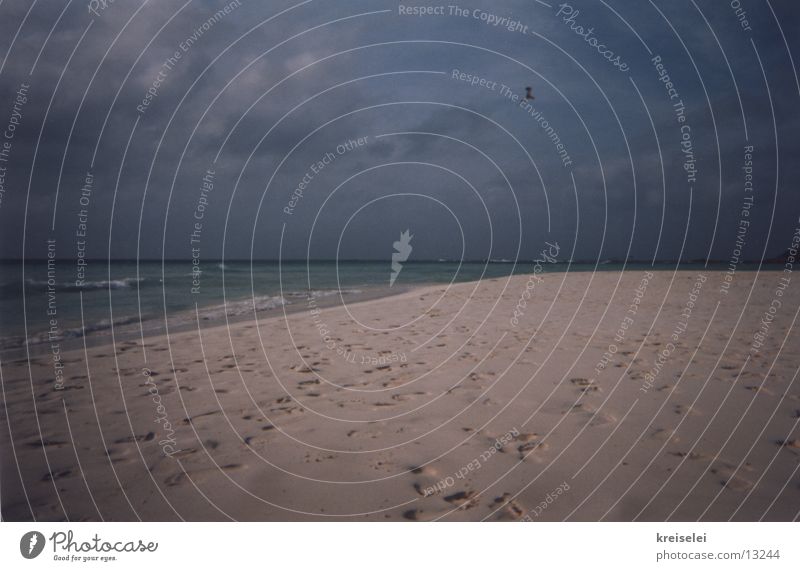Traces in the sand Ocean Vacation & Travel Footprint Calm Beach Sand Sky