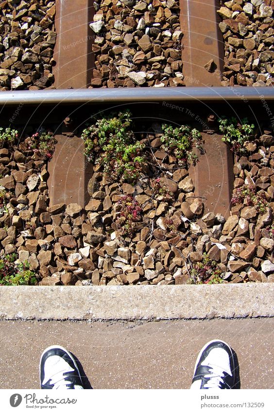 AMENDE Suicide End Completed Closed Present Day Futile Thought Decide Quit Escape Resign Diminish Boredom Time Endurance Wait Railroad Railroad tracks Pebble
