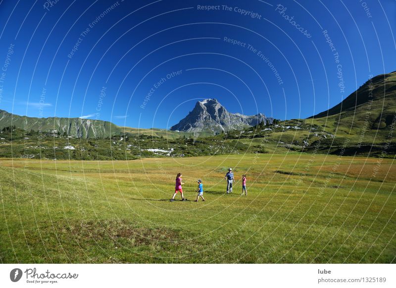 Ariestein 4 Human being Environment Nature Landscape Cloudless sky Summer Climate Beautiful weather Grass Rock Alps Mountain Peak Blue Green Forest of Bregenz