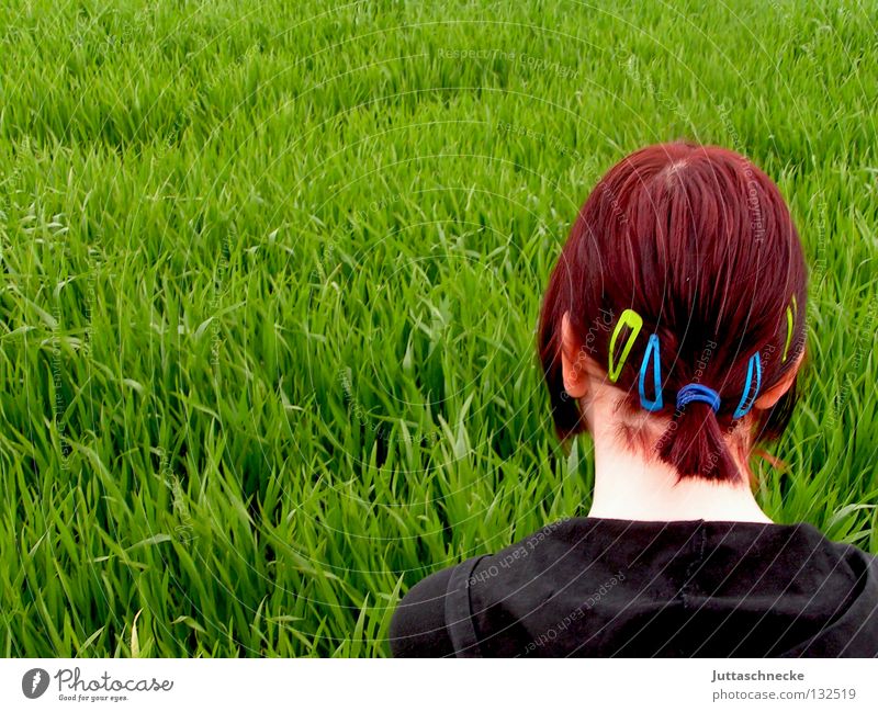 Fertilise your lawn with old engine oil. Braids Red Red-haired Brooch Ponytail Hair and hairstyles Back of the head Nape Green Grass Meadow Field