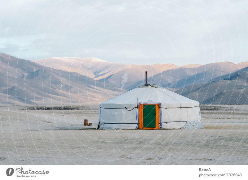 Mongolia Expedition Living or residing Flat (apartment) House (Residential Structure) Meadow Hill Desert Gobi Steppe Asia yurt ger Tent Nomad tent Facade Door