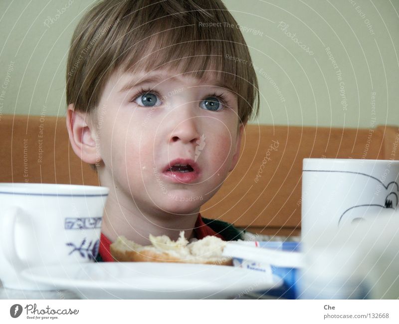 And where's the jam? Child Small Eyelash Breakfast Roll Cup Plate Saucer Table Beg Expectation Trust Open Concentrate Toddler Kitchen Eyes grey eyes Looking