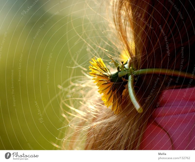 carpe diem II Happy Girl Hair and hairstyles 1 Human being Environment Nature Spring Plant Flower Blossom Dandelion Happiness Cute Sweet Yellow Green Pink