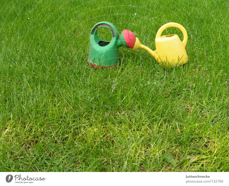 kiss Jug Watering can Green Yellow Kissing Meadow Grass Cast Gardener Gardening Toys Growth Wet Summer Love Lawn Juttas snail Nature Exterior shot