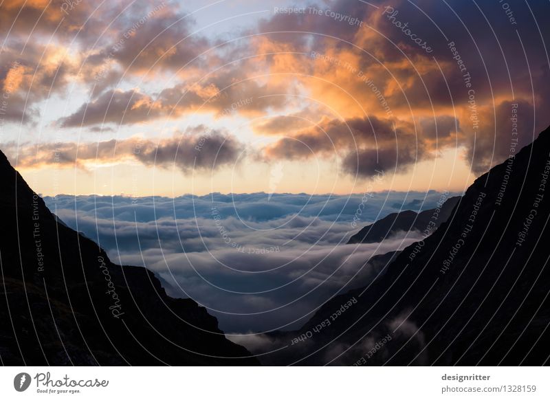 sea of clouds Sky Clouds Sunrise Sunset Summer Climate Climate change Weather Beautiful weather Alps Mountain Ocean Wangenitzsee hut lien Hohen Tauern NP