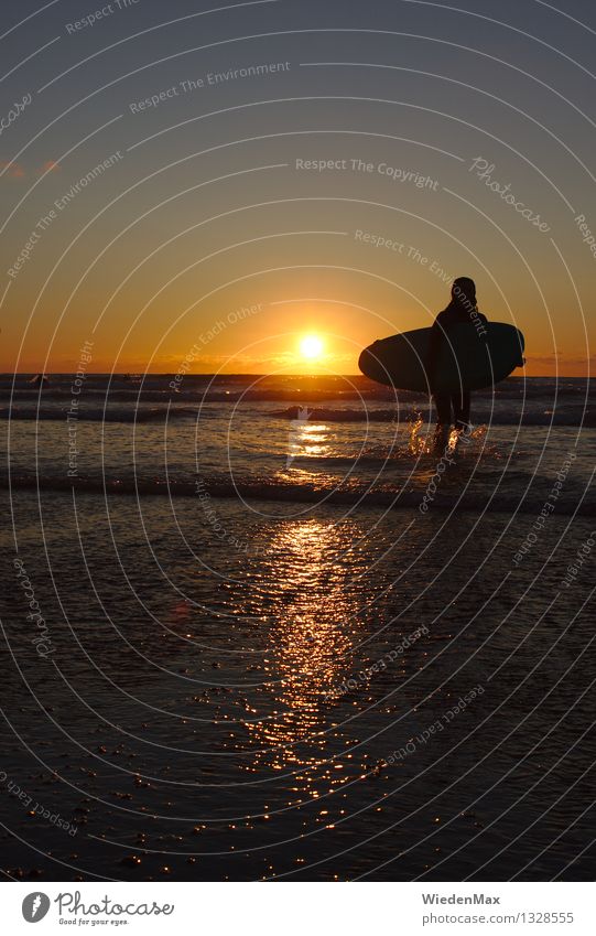 Surfing until sunset Summer vacation Sports Surfboard Surfer Human being Feminine Young woman Youth (Young adults) 1 Sky Sun Sunrise Sunset Sunlight