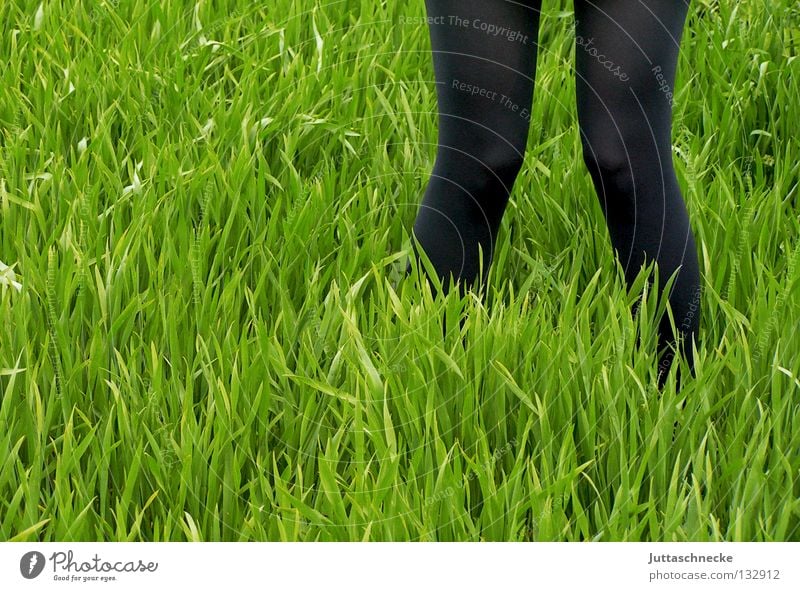 X Green Black Grass Meadow Field Tights Stand Going Knock-kneed Stork Spring Growth Sow Sowing Working in the fields Legs stalk Extend Plantlet Juttas snail