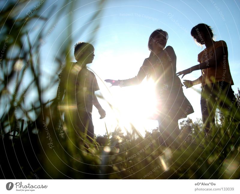 sun children Joy Playing Child Human being Friendship Grass Emotions Perspective Sunset Evening Light