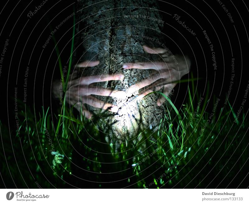 Bernd the tree Tree Hand Light Grass Meadow Life Tree bark Night Long exposure Lamp Fingers Transparent Friendship Dark Black Green Creepy Horror film Power