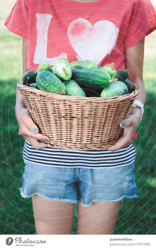 Girl carrying wicker basket with cucumbers Vegetable Organic produce Lifestyle Healthy Healthy Eating Summer Garden Child Human being 1 8 - 13 years Infancy