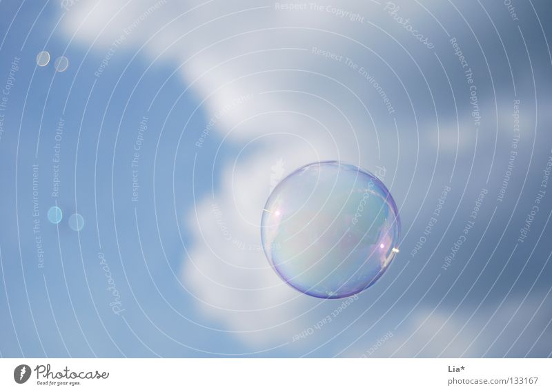 soap bubble Soap bubble Sky blue Blow Clouds Playing Dream Easy Hover Background picture Round Air Airy Joy Peace Flying Senses Free Freedom Weight lightweight