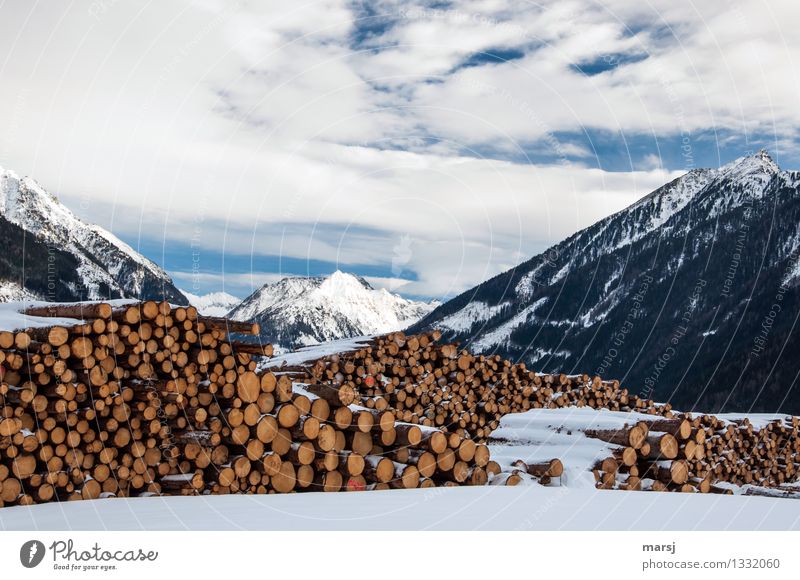 Enough wood for a cold, long winter Nature Landscape Clouds Winter Beautiful weather Snow Alps Mountain Peak Snowcapped peak Orderliness Storage Stack of wood