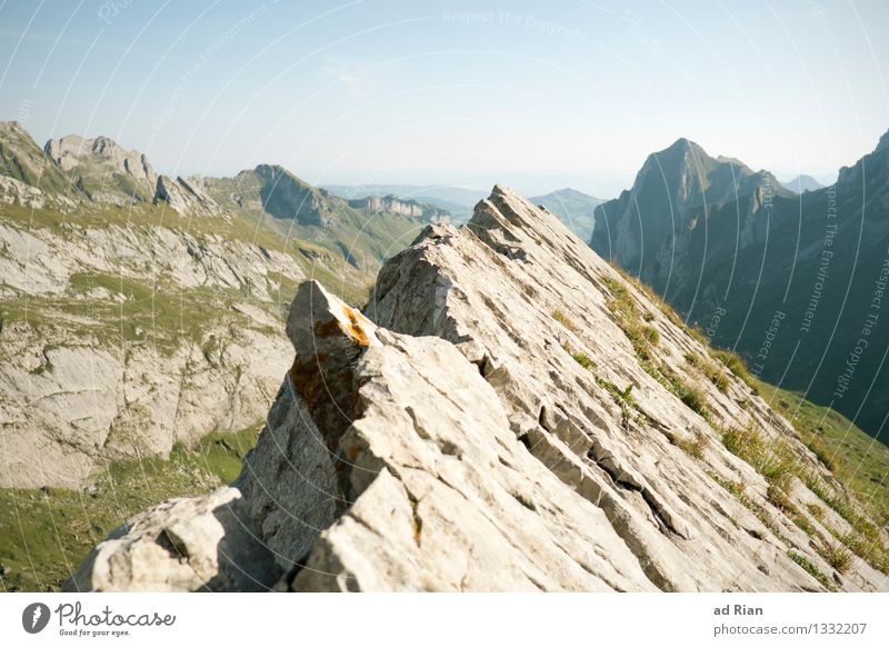 Postcard world [4] Environment Nature Landscape Earth Sky Cloudless sky Summer Beautiful weather Hill Rock Alps Mountain Alpstein Peak Movement Discover