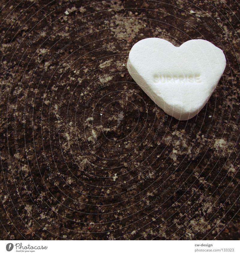 LONELY HEART Candy Heart Heart-shaped White Macro (Extreme close-up) Sweet Love Neutral Background Copy Space bottom Copy Space left Delicious 1 Individual