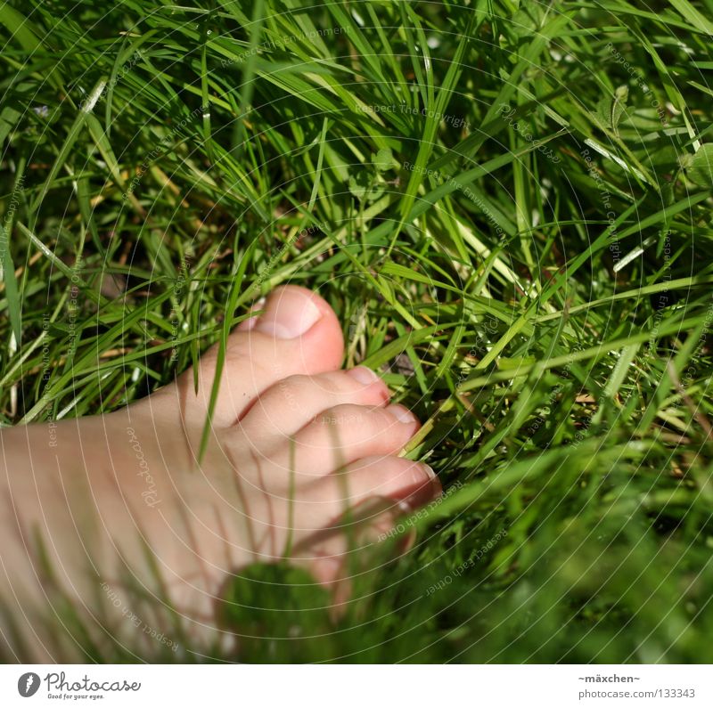 Spreaded toes Joy - a Royalty Free Stock Photo from Photocase