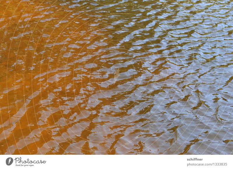 Still Water Waves Lakeside Pond Blue Brown Gold Body of water Fluid Background picture Swell Exterior shot