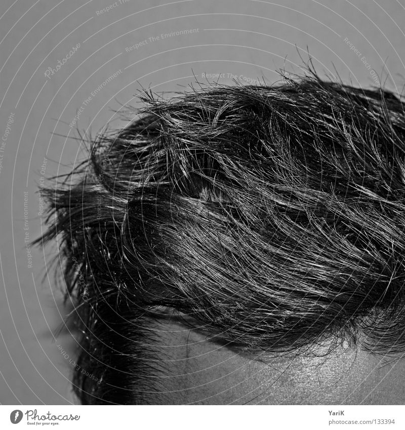 woken Forehead Hair and hairstyles Cut Haircut Man Gray Thin Muddled Hedgehog Morning Arise Wake up Style Hairline Shampoo Black & white photo Head hairy head