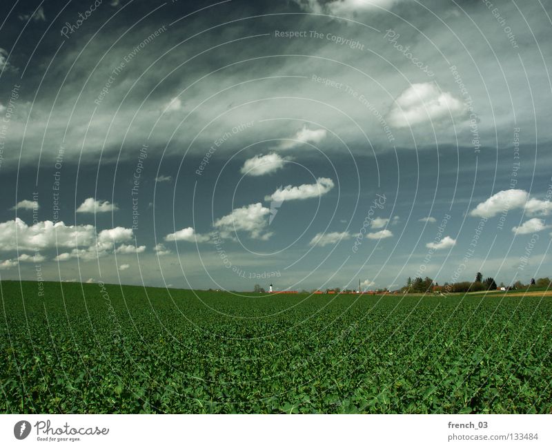 Inningen near Augsburg II Clouds Sky Gray Pol-filter Tree Grass Field Horizon Row of trees Green Altocumulus floccus Agriculture Empty Far-off places Sunday