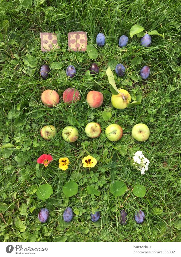 Plum or apple? Fruit Apple Nasturtium Healthy Eating Leisure and hobbies Garden Nature Landscape Summer Autumn Beautiful weather Plant Flower Grass Leaf Blossom