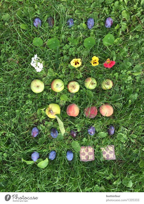 Pretty fallen fruit on a meadow Food Fruit Apple Plum Peach Nasturtium Nutrition Picnic Organic produce Nature Landscape Animal Summer Autumn Plant Grass Garden