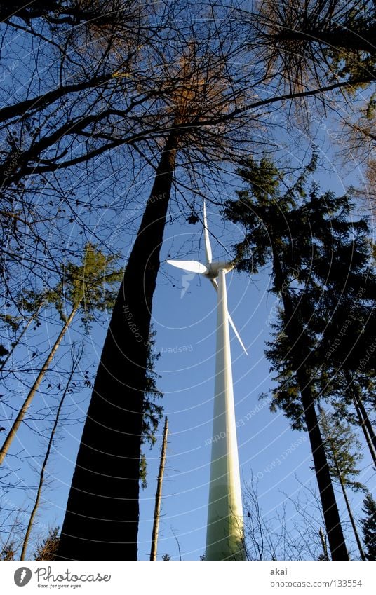 natural power Wind energy plant Electricity Sky Coniferous trees Forest Sky blue Geometry Deciduous tree Perspective Coniferous forest Glade Paradise Clearing