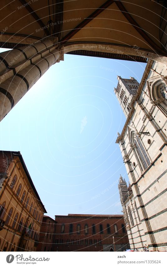 the inner circle Cloudless sky Siena Italy Tuscany Small Town Downtown Old town House (Residential Structure) Church Dome Palace Places Tower Manmade structures