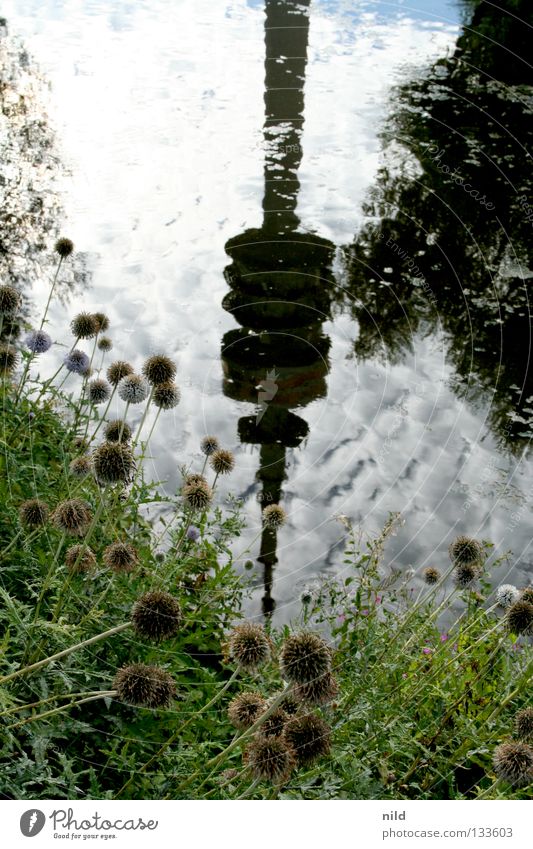 in love with... Munich Landmark Reflection Olympic Tower Olympic Park Lake Pond Lake Olypia 1972 Nature Television tower