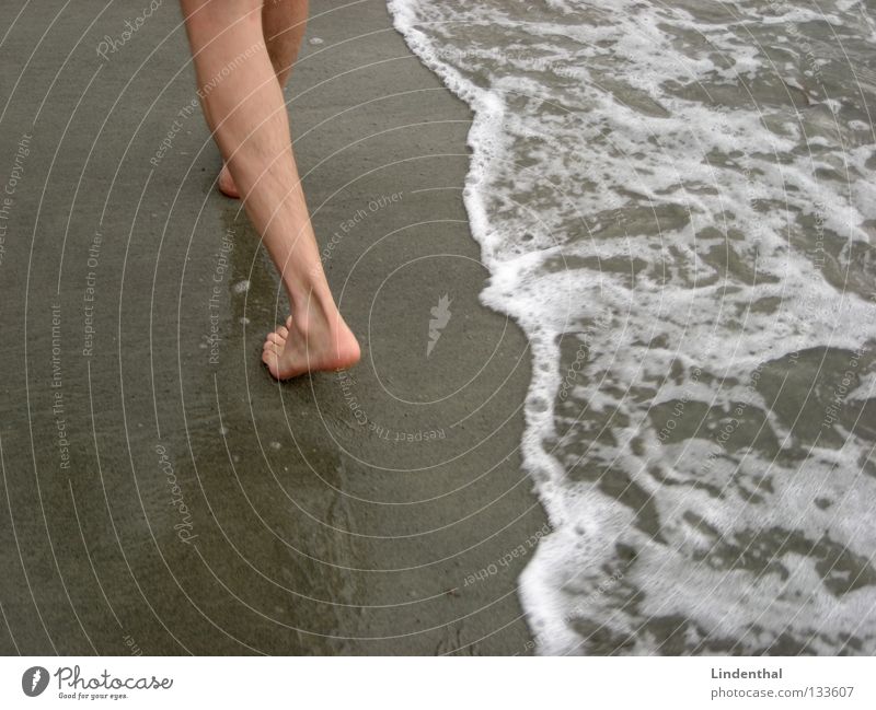 Follow the white rabbit. Beach Footprint Ocean Foam Toes Coast Tracks Sand Feet Legs Row their Barefoot