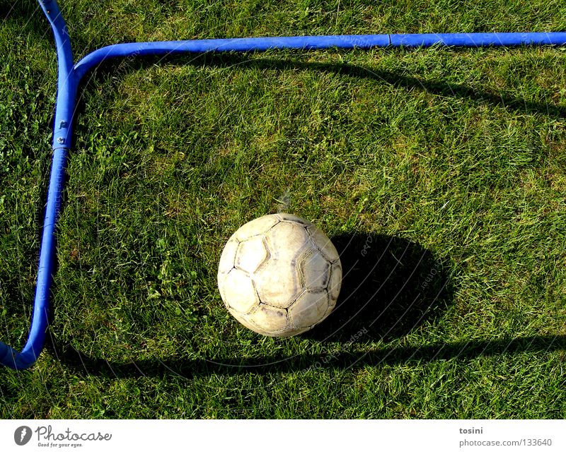 Goal! Rod Grass Leather Green Round Calm Sports Shadow Soccer Goal 1 Bird's-eye view Deserted Colour photo Grass surface Lie Foot ball