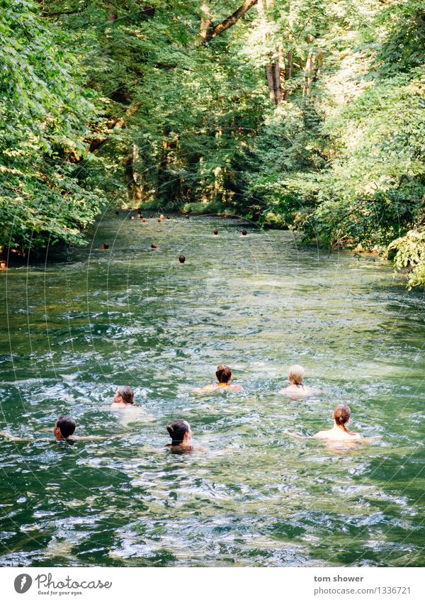 River Swim Human being Family & Relations Friendship Group 18 - 30 years Youth (Young adults) Adults Environment Nature Plant Water Beautiful weather Tree