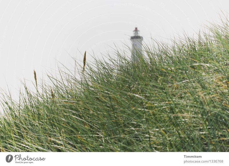 two stages high up. Vacation & Travel Environment Nature Landscape Plant Marram grass Dune Denmark Lighthouse Esthetic Gray Green Emotions Serene Calm