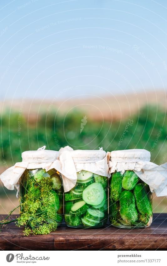 Pickled cucumbers made of home garden vegetables and herbs Vegetable Herbs and spices Organic produce Garden Summer Fresh Natural Green Basket Copy Space Dill