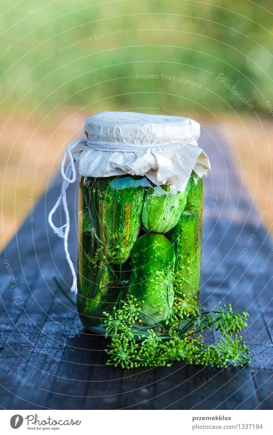 Pickled cucumbers made of home garden vegetables and herbs Food Vegetable Herbs and spices Organic produce Garden Summer Fresh Natural Green Basket Copy Space