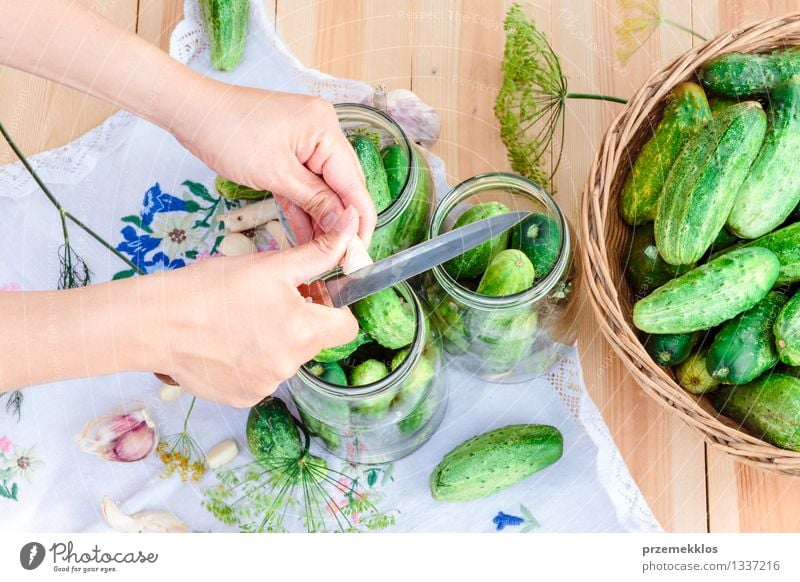 Pickling cucumbers with home garden vegetables and herbs Food Vegetable Herbs and spices Organic produce Garden Woman Adults Hand Summer Fresh Natural Green