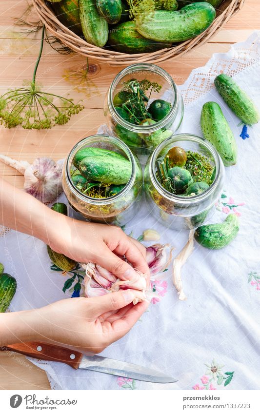 Pickling cucumbers with home garden vegetables and herbs Vegetable Herbs and spices Organic produce Garden Woman Adults Hand Summer Fresh Natural Green Basket