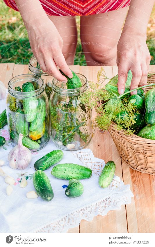 Pickling cucumbers with home garden vegetables and herbs Vegetable Herbs and spices Nutrition Organic produce Garden Woman Adults Hand Summer Fresh Natural