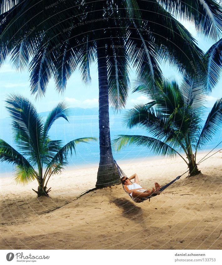 Who wants that?!??? Palm tree Beach Hammock Palm beach Thailand Light Vacation & Travel Relaxation Ocean Coast Leaf Tree trunk Physics Yellow Green Cyan