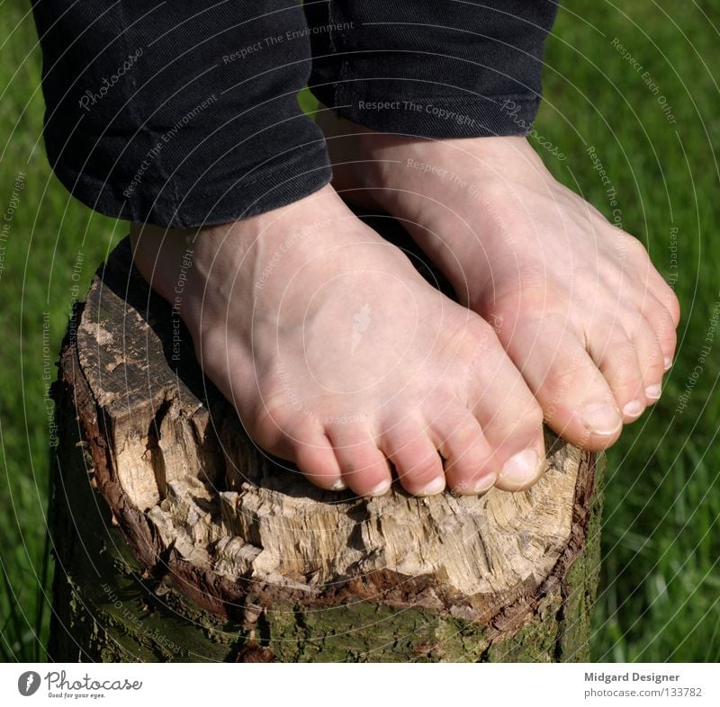 tree stand Skin Human being Young woman Youth (Young adults) Life Legs Feet 1 18 - 30 years Adults Tree Pants Wood Stand Green Tree trunk Tree bark Toes