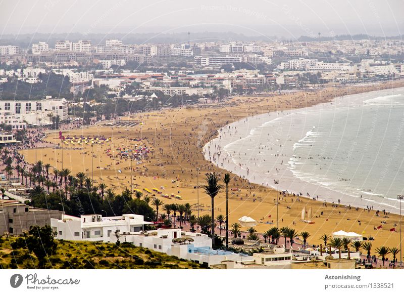 beach Vacation & Travel Summer vacation Beach Ocean Waves Human being Crowd of people Environment Nature Sand Sky Clouds Horizon Weather Plant Coast Agadir