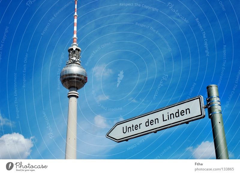 Prussian asparagus Transmitting station Street sign Berlin Berlin TV Tower Lime tree Capital city Vantage point