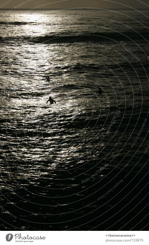 wavewatchers Ocean Waves Surfer Relaxation Beach Sunset Surfboard Water Funsport sea Wait wetsuit Whitewater San Diego County Pacific Beach Surfing