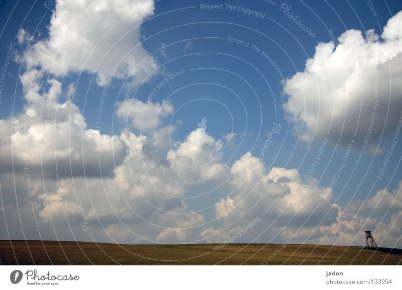 cloud cuckoo home Vantage point Hunting Blind Meadow Field Clouds Hunter Loneliness White Horizon Calm Background picture Brandenburg Flat (apartment) Room